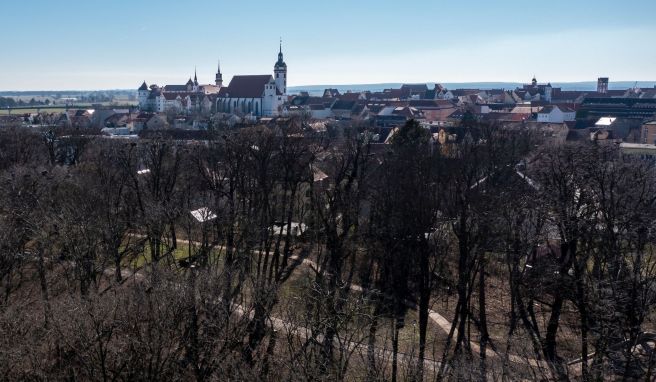 Blick über den Stadtpark, Teil der kommenden Landesgartenschau in Torgau. 