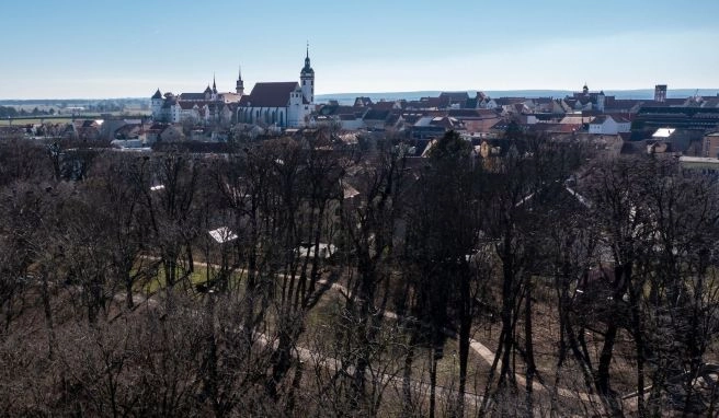 Arbeiten im Endspurt Torgau wappnet sich für Landesgartenschau