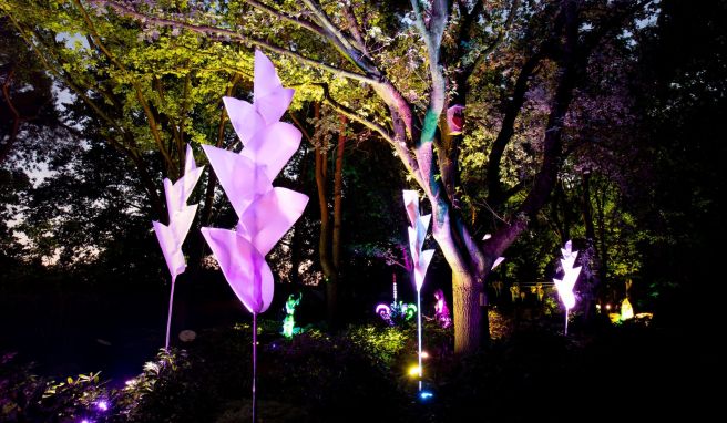 Besondere Abendstimmung  Lichtkunst im Park der Gärten in Bad Zwischenahn