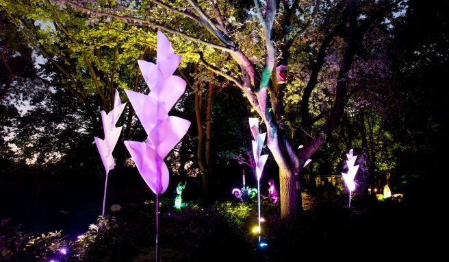 Lichtkunst im Park der Gärten in Bad Zwischenahn Besondere Abendstimmung