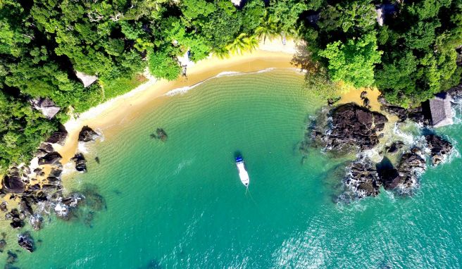 Dschungel statt Großstadt  Aachenerin beginnt neues Leben am Strand von Madagaskar