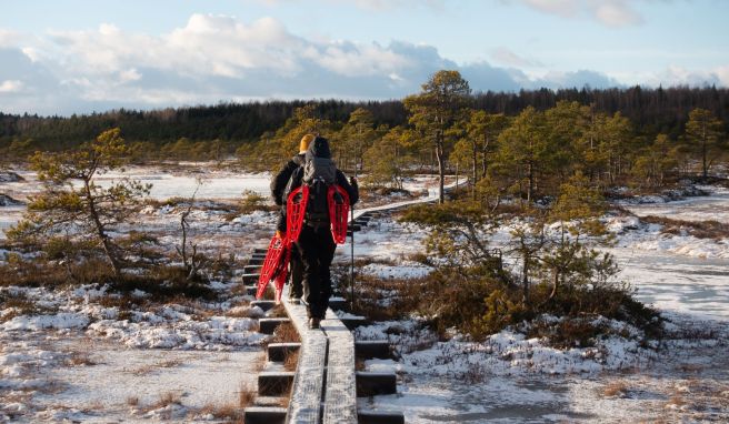 Entdeckungen im Baltikum So wild ist Estlands Winter - 7 Inspirationen