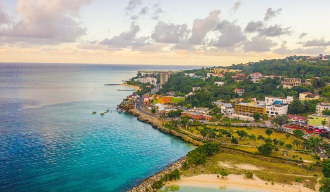 In Montego Bay wartet eines der schönsten Erlebnisse, das man auf Jamaika haben kann: eine Vogelfütterung mit frei fliegenden Kolibris. 