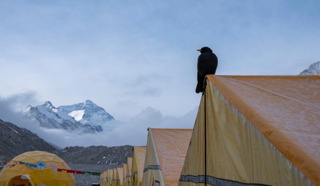 Zum ersten Mal in der diesjährigen Saison haben\nBergsteiger am Wochenende den Mount Everest erklommen.