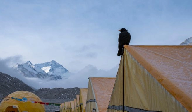 Gletschereis schmilzt Klimawandel: Nepal erwägt Verlegung von Everest-Basislager