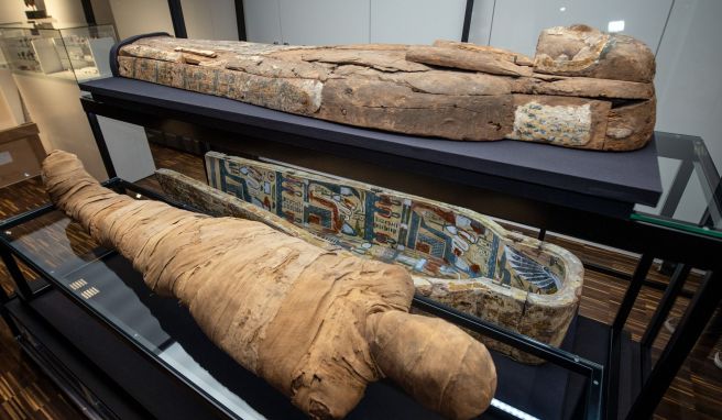 Aufwendig restaurierte «Münster Mumie» zurück im Museum 2700 Jahre alt
