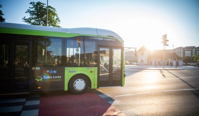 Greenpeace-Ranking So teuer ist der öffentliche Personenverkehr in Europa