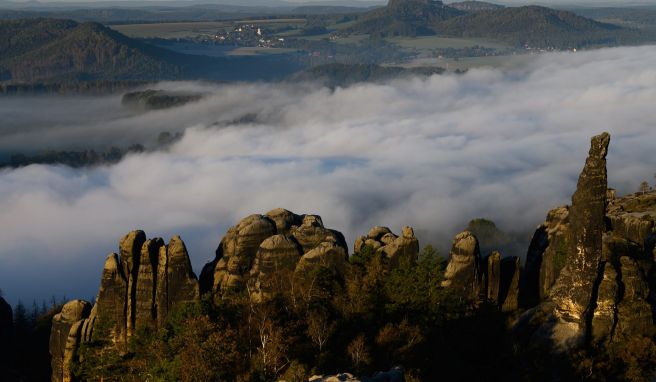 Zum Schutz der Jungtiere  Übernachten im Nationalpark Sächsische Schweiz verboten