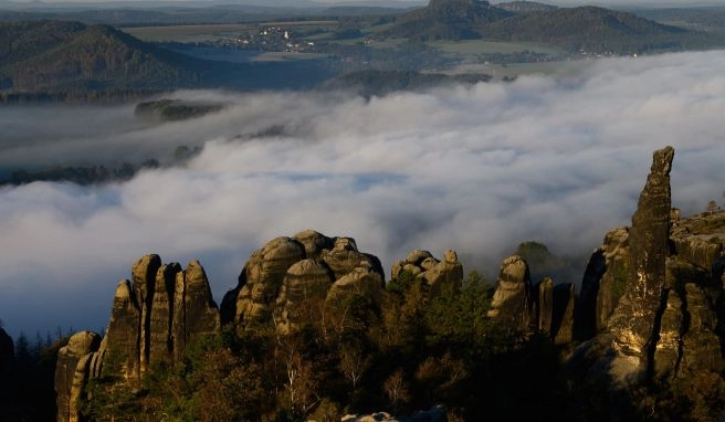 Zum Schutz der Jungtiere Übernachten im Nationalpark Sächsische Schweiz verboten