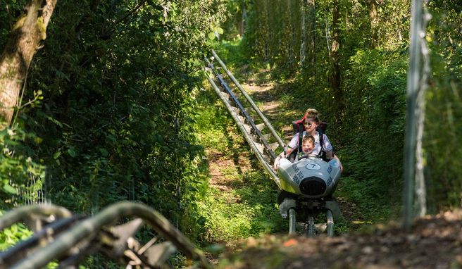 Die Natur-Bobbahn im Kienbergpark wurde durch ein Feuer zerstört. Diesen Sommer aber soll die Bahn voraussichtlich wieder öffnen.