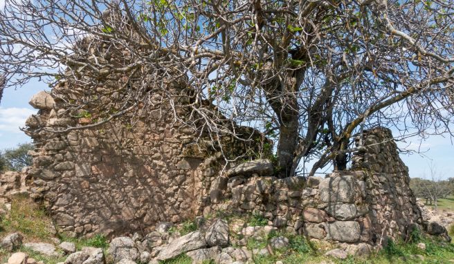 Im Naturpark Sierra de Cardeña y Montoro können Wanderer zum Beispiel das teils in Ruinen liegende Dorf El Cerezo erkunden. 