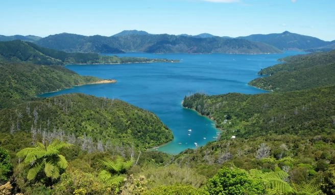 Neuseeland Neuseeland