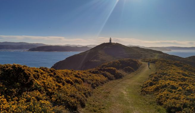 Neuseeland öffnet am 31. Juli Grenzen für Besucher aus aller Welt. 