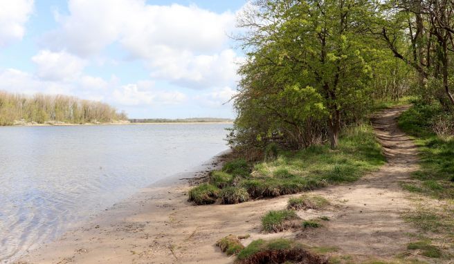 Das Neustädter Binnenwasser erstreckt sich von der Ostsee ins Landesinnere. 