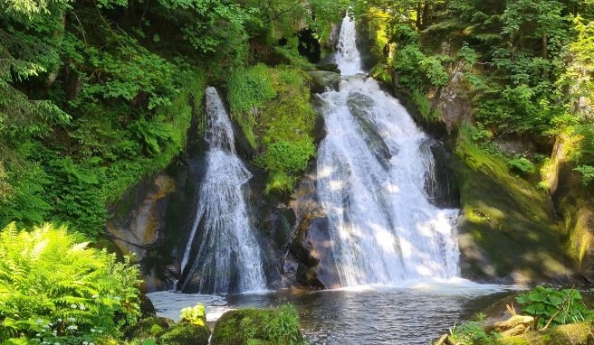 Der Wasserfall im Schwarzwald zieht zahlreiche Touristen in die Region. Ob auch Ernest Hemingway einst staunend davor stand? Der Schriftsteller verbrachte vor rund 100 Jahren seinen Urlaub in der Region.