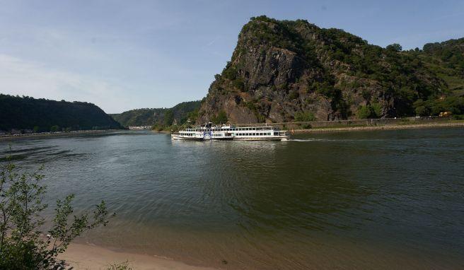 Burgen und Weinberge  20 Jahre Welterbe: Das Rheintal boomt