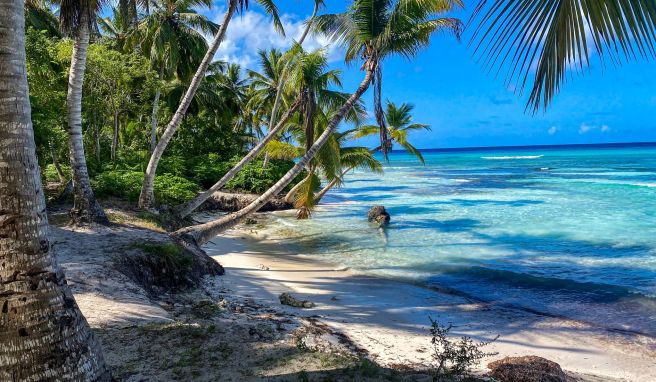 Palmen, Strand – ganz ohne Stress. Damit es auch vor Ort so bleibt: beim Buchen nicht nur auf den Preis schauen, sondern aufs Gesamtpaket.