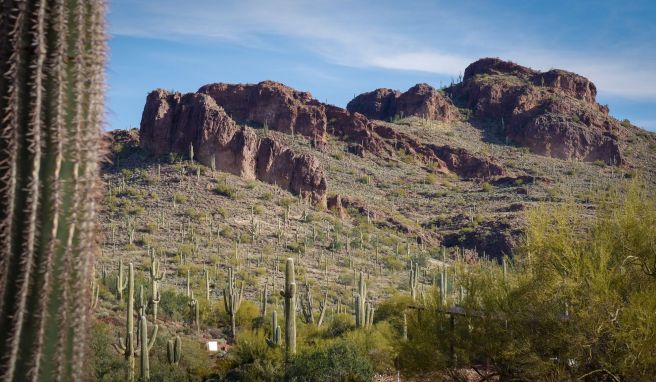 Reisenews  Natur in Arizona und Weinkultur im Burgund