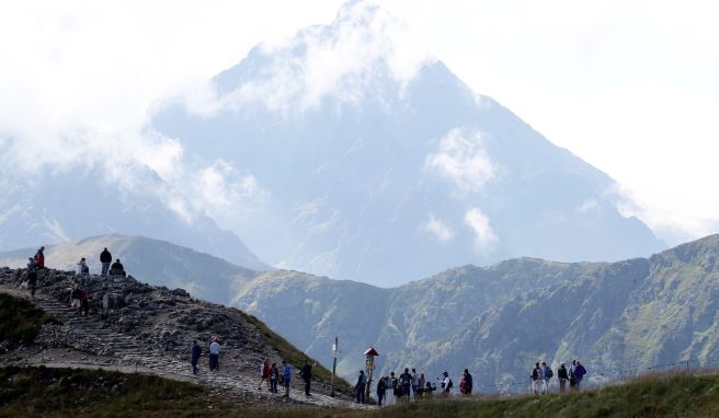 Erste Hilfe für Wandernde  Pflaster, Kompresse: Notfallkisten an polnischen Wanderwegen