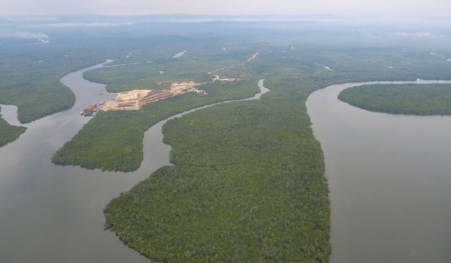 Die Aufnahme zeigt die Gegend in Ostkalimantan auf Borneo, in der Nusantar. Hier soll die künftige Hauptstadt Indonesiens entstehen. 