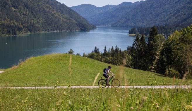 Die Kärntner Seen-Schleife führt Radtouristen auf gut 400 Kilometern durch Österreichs Süden.
