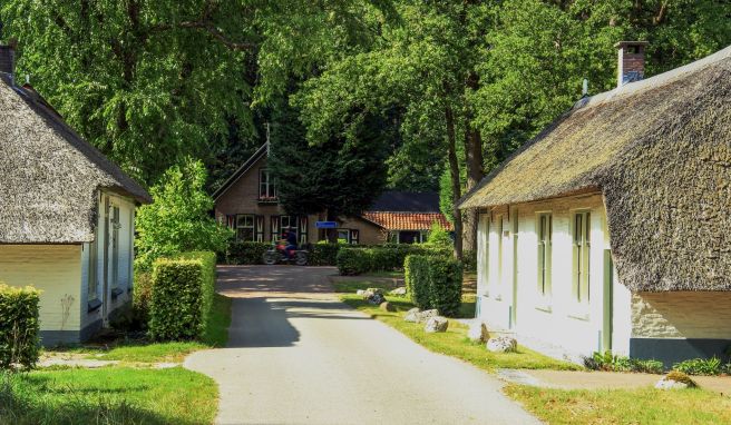 Unterwegs in Drenthe  Entdeckungen in der Ur-Provinz der Niederlande