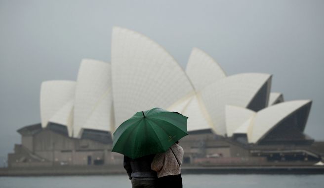 Rekordregen in Sydney: Massen von Krabbeltieren unterwegs