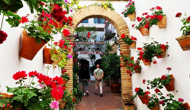 Reich geschmückt: Vor allem, wenn alles blüht, locken die Patios Córdobas Besucher an.