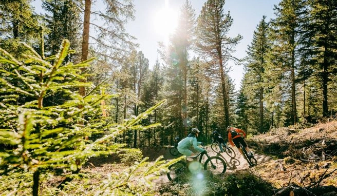 Der Hochzeiger Family Trail ist der erste MTB-Trail im Tiroler Pitztal. 