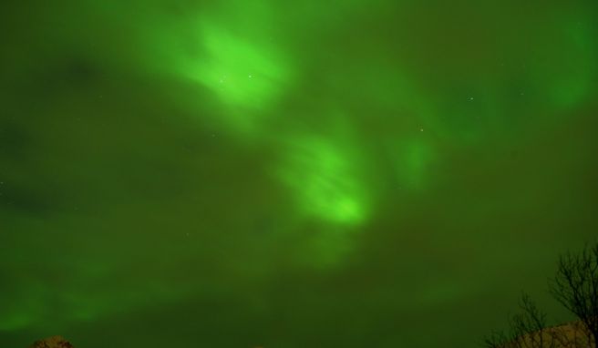 Das Grüne Polarlichter (Aurora borealis) kann man auf einer Schiffsreise zwischen Bergen in Norwegen sehen.