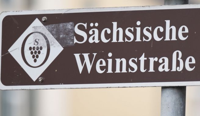1992 wurde die Sächsische Weinstraße eingeweiht. Das Jubiläum wird bei den 23. Tagen des offenen Weingutes am kommenden Wochenende gefeiert.