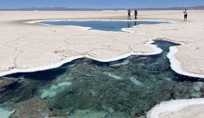 Weiße Weite: Die Salinas Grandes ist der drittgrößte Salzsee der Welt.