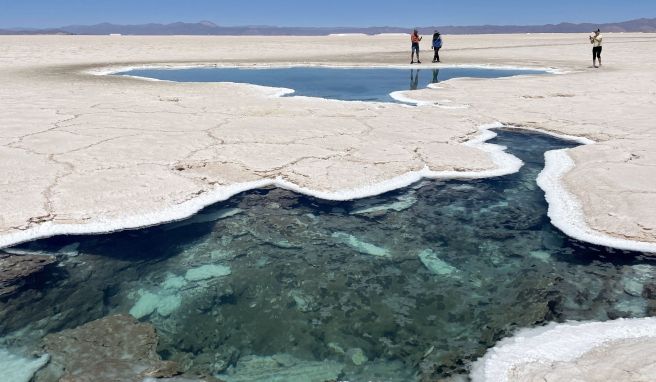 Tourismus  Argentinien: Im Wolkenzug dem Himmel ganz nah