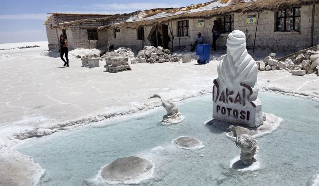 REISE & PREISE weitere Infos zu Boliviens Naturwunder: Weiße Wüsten und rote Lagunen