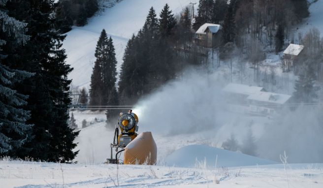 Es gibt in Europa keine Skigebiete mehr, die schneesicher sind, sagt Geografieprofessorin Carmen de Jong.