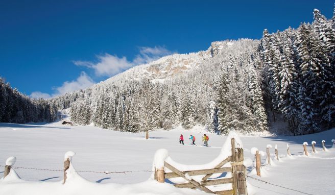 Inmitten atemberaubender Natur zu sich selbst finden? Dabei sollen Schneeschuhwanderungen in Österreich helfen. 