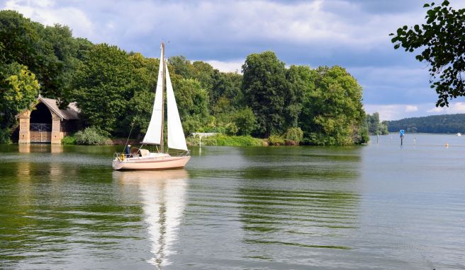 Für Segeltörns wie hier auf der Havel bei Berlin benötigen Freizeitkapitäne in der Regel einen entsprechenden Sportbootführerschein. 