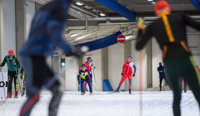 Indoor-Trainung bei Eiseskälte: Skilangläufer in der Skisporthalle Oberhof.