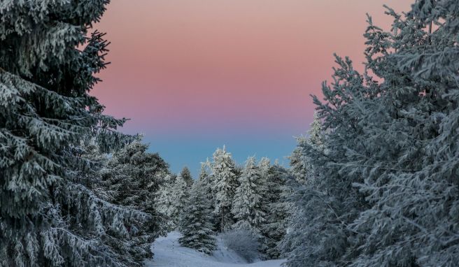 Saisonbeginn  Skigebiet am Fichtelberg öffnet unter 2G-Bedingungen