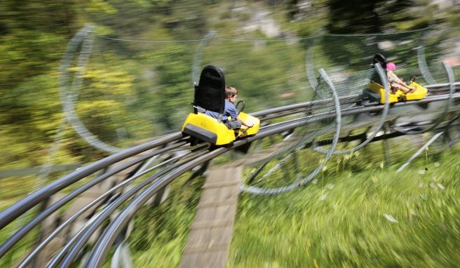 Rasantes Rodeln: Damit die Fahrt abwärts nicht nur schwungvoll, sondern auch sicher bleibt, beachten Sommerrodler besser ein paar Dinge.