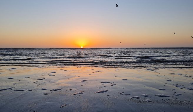 Im Takt der Gezeiten  St. Peter-Ording: Mehr als Sandstrand und Wattenmeer