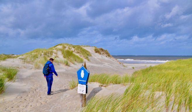 Gerade in der kalten Jahreshälfte und dann insbesondere nach Stürmen gibt es an den Stränden der Nordsee, wie hier im Osten von Borkum, interessante Funde zu machen.