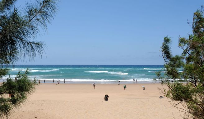 Sommer am Strand von Cape Vidal: Südafrika ist in den europäischen Wintermonaten ein oft gebuchtes Reiseziel. 