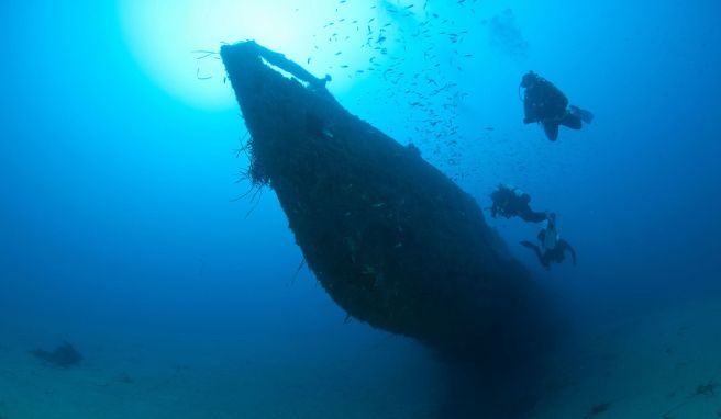 Spots von Aruba bis Norwegen Wracktauchen: Die Faszination gesunkener Schiffe