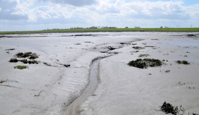 Der Langwarder Groden ist Teil des Unesco-Welterbes Wattenmeer. 