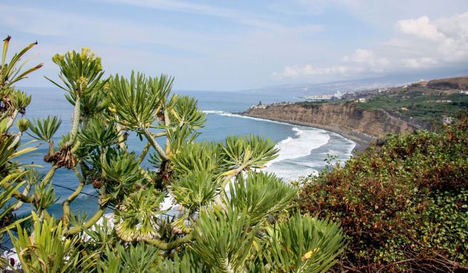 Im Winter sind die Kanarischen Inseln - hier Teneriffa - bei deutschen Urlaubern sehr beliebt. Nun wurde jedoch auch Spanien zum Corona-Hochrisikogebiet erklärt. 