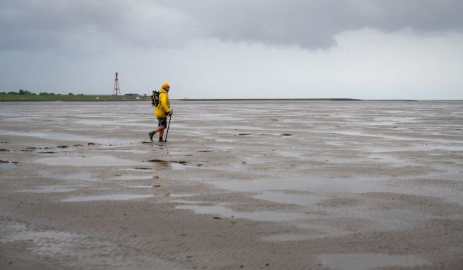 REISE & PREISE weitere Infos zu Schweigend durchs Wattenmeer wandern