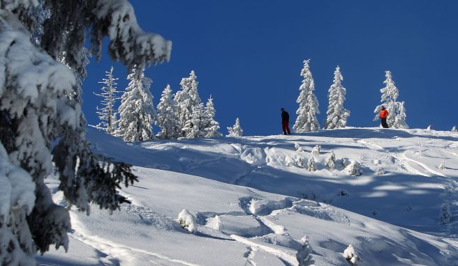 Spuren im Tiefschneehang bedeuten nicht, dass man hier ohne Risiko abfahren kann.