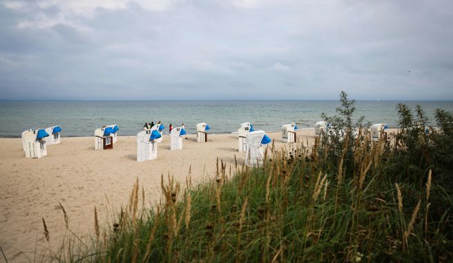 Stadt, Land und Strand  Nahverkehr für Touristen mit Ostseecard ab 2022 kostenlos