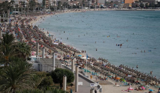 Fertigstellung 2027 geplant  Mallorca: Tram vom Flughafen nach Palma wird gebaut